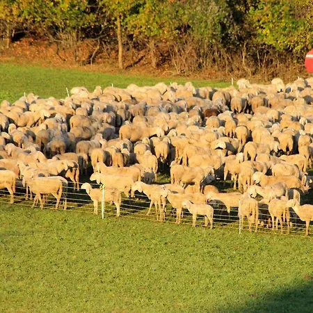 アパート De Bati ベッルーノ