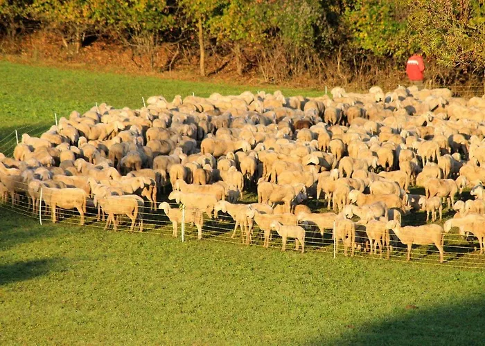 Апартаменты De Bati Беллуно